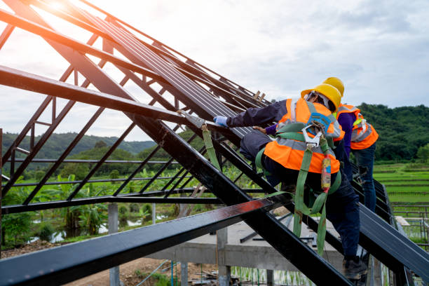 Best Roof Restoration Services  in Seneca, IL